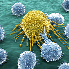 Cancer (not so) Basics